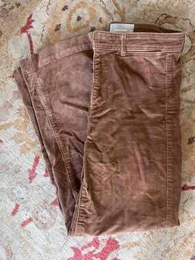 Everlane Sailor Corduroy Pants in Toasted Coconut